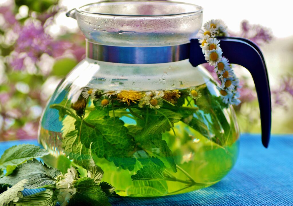 infusion de plantes