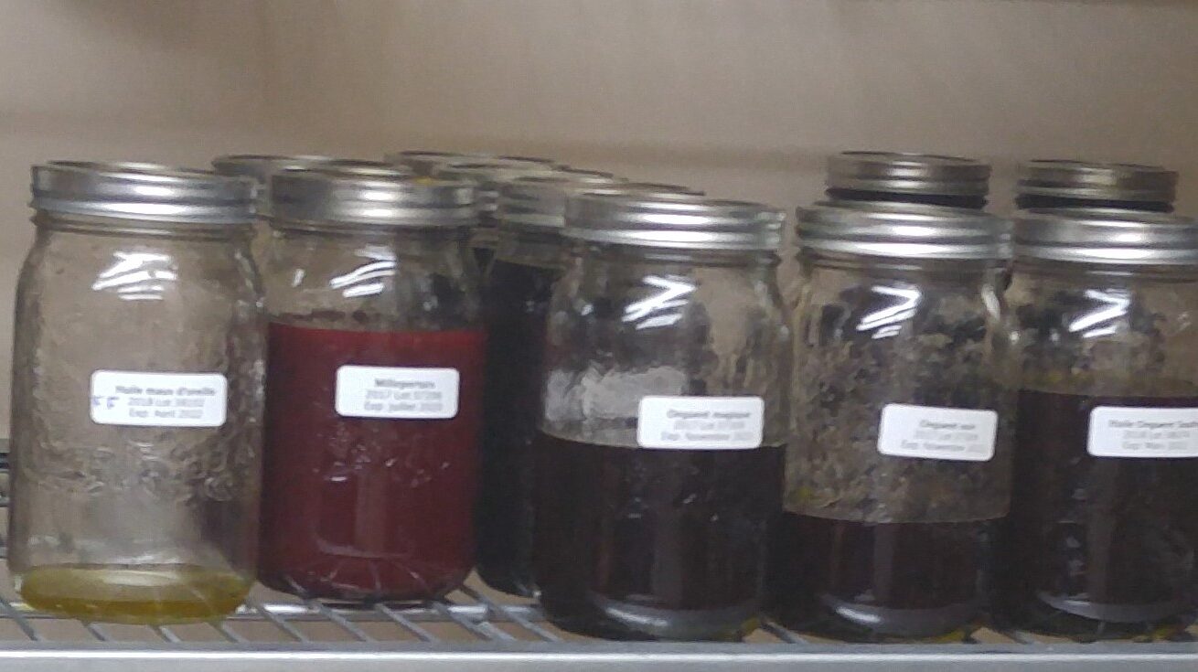 Liquid concentrate for maceration