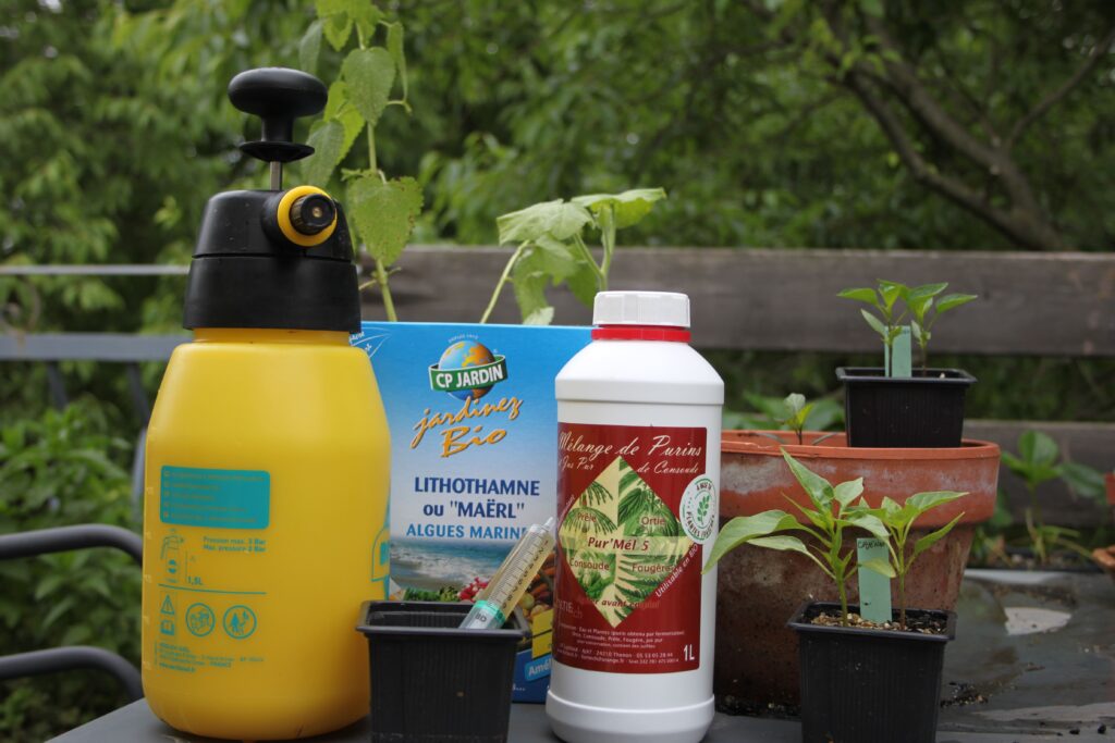 recette pour améliorer la résistance des plantes