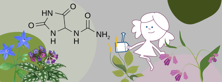 L’allantoïne, un alcaloïde prisé pour les soins de la peau.